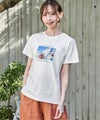 ホワイト 