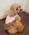ピンク