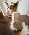 ベージュ