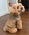 ベージュ